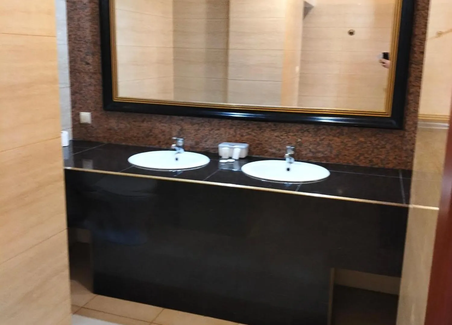 ***  Hotel Venecia Palace Michałowice 폴란드